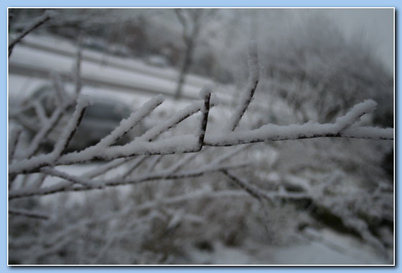 Arnhem Snow 041